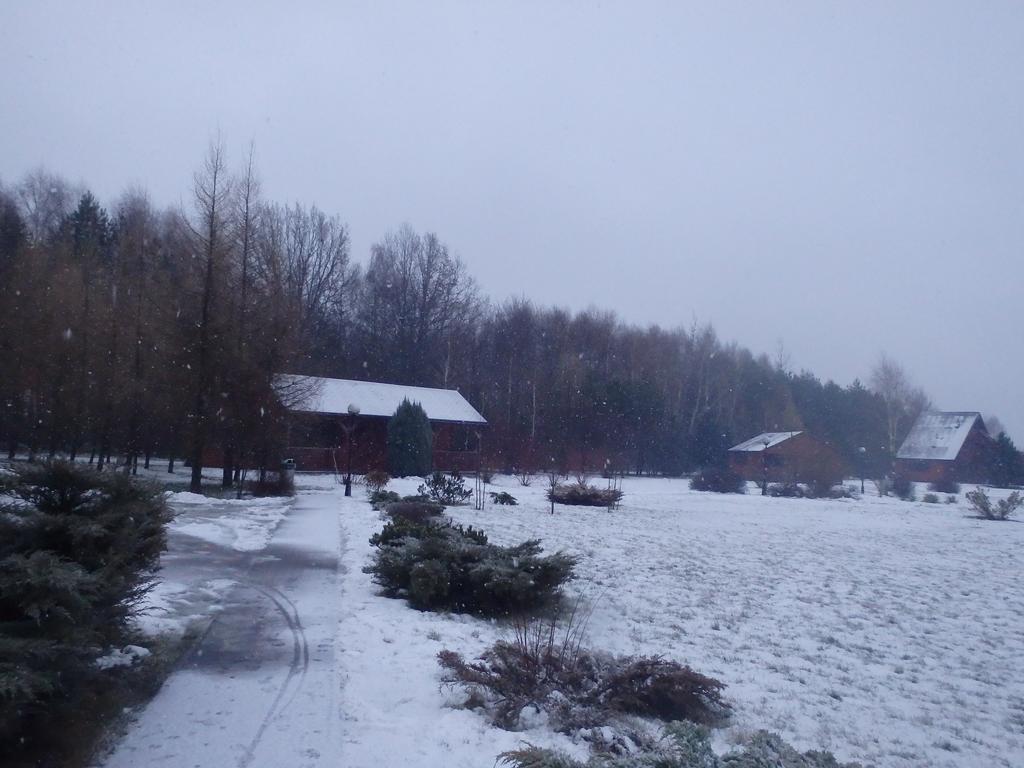 Osrodek Marynka Villa Wolka Cycowska Exteriör bild